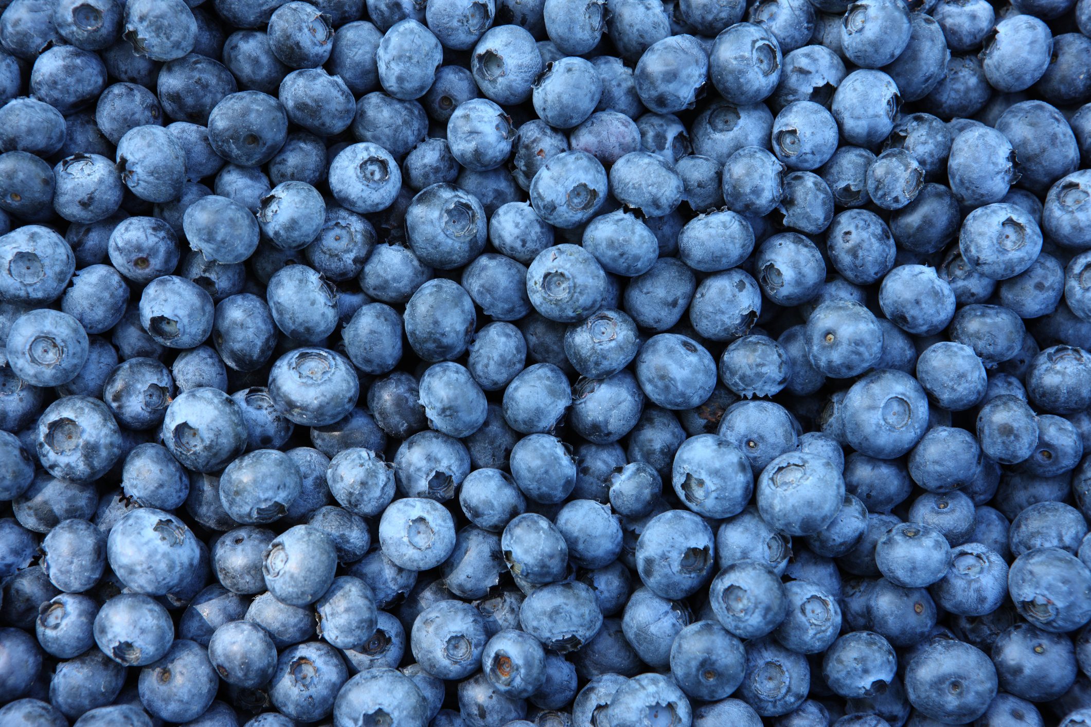 12,000 Pounds of Berries Recalled at the Highest Risk Rating in One State
