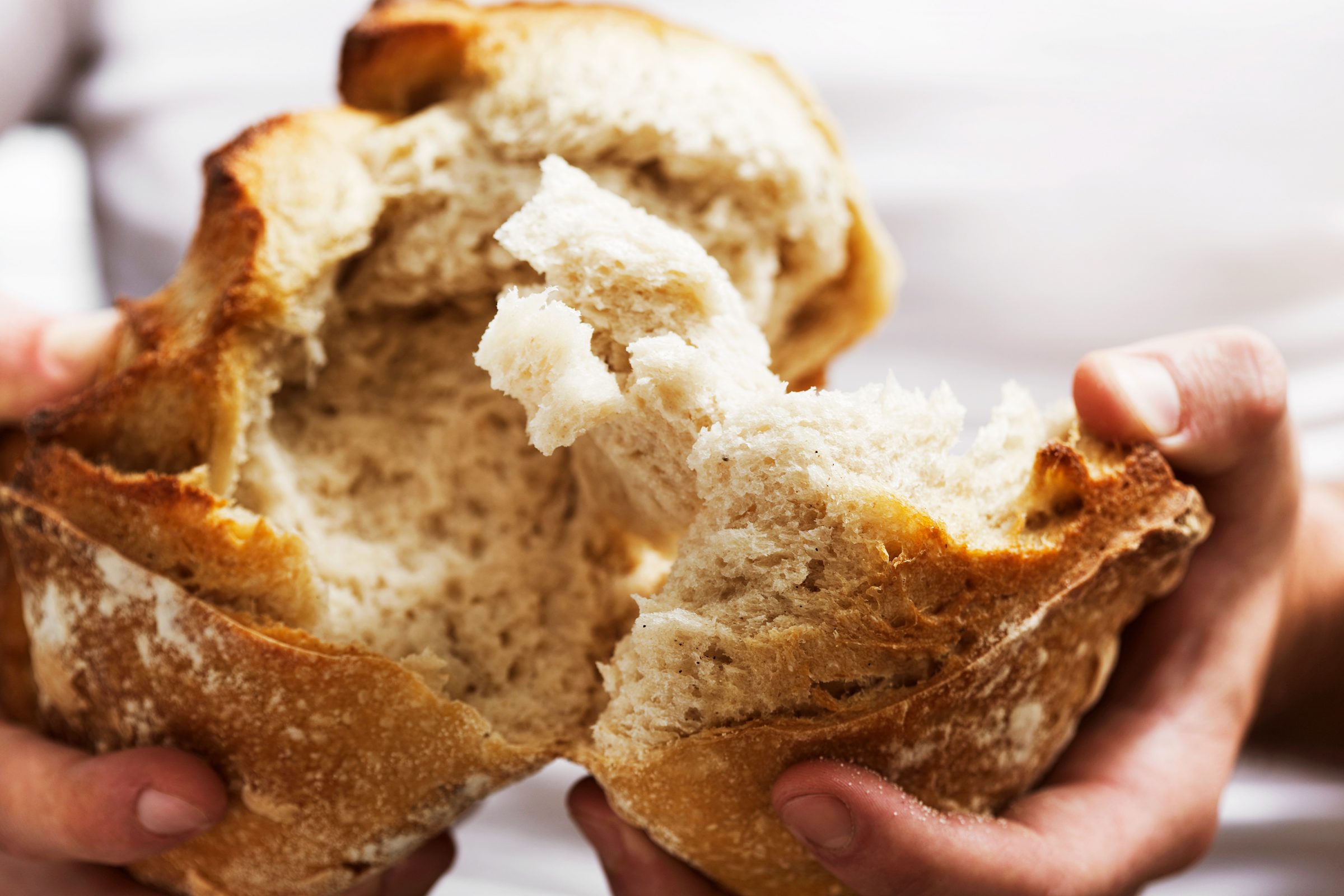 Over 9,000 Bread Products Have Been Recalled in a Major Metropolitan Area